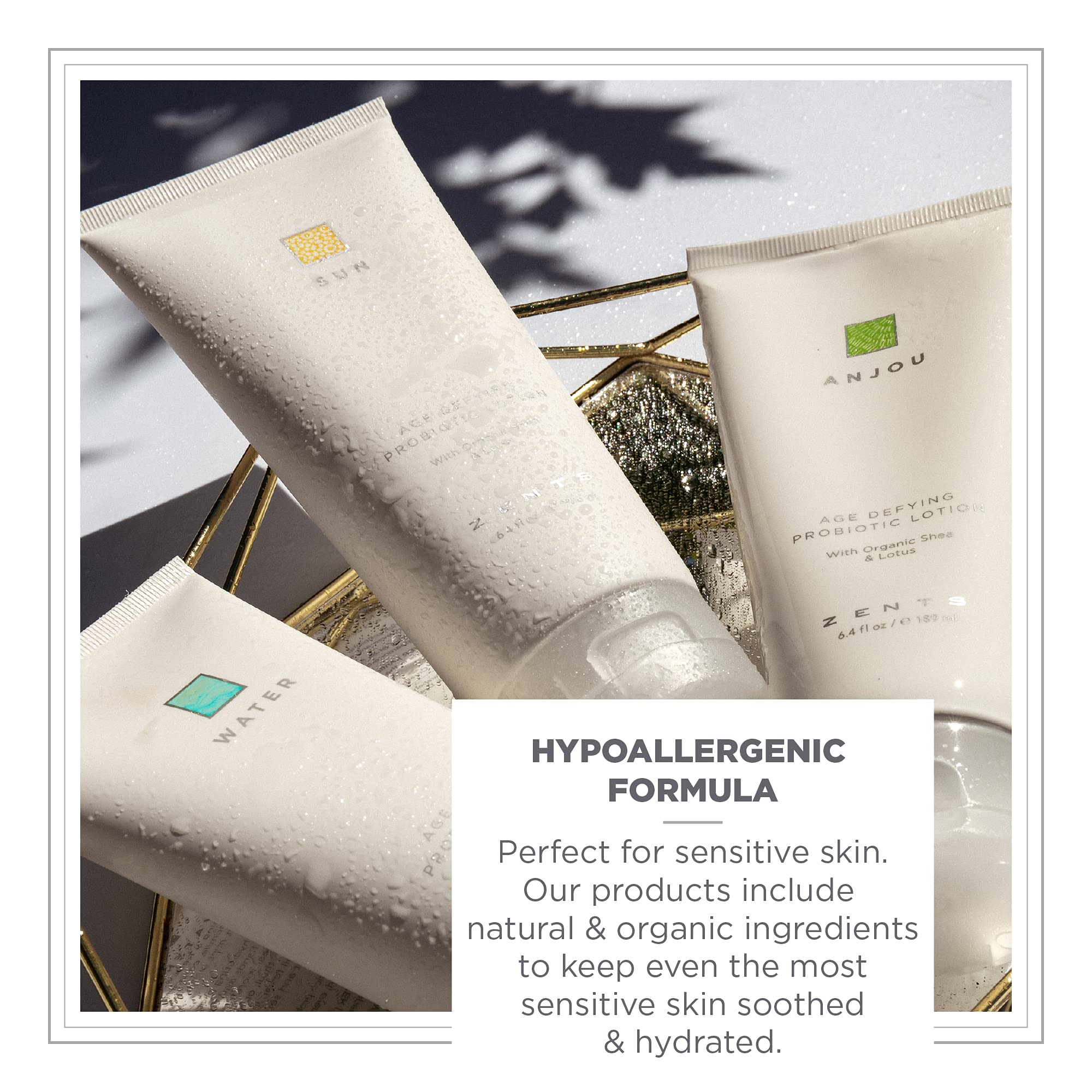**ZENTS Probiotic Anti-Aging Body Lotion & Cashmere Oil Set – Organic Coconut Oil for Soft, Hydrated Skin – Deep Moisturizing & Healing for Dry Skin – Perfect for Daily Skincare & Spa Relaxation**