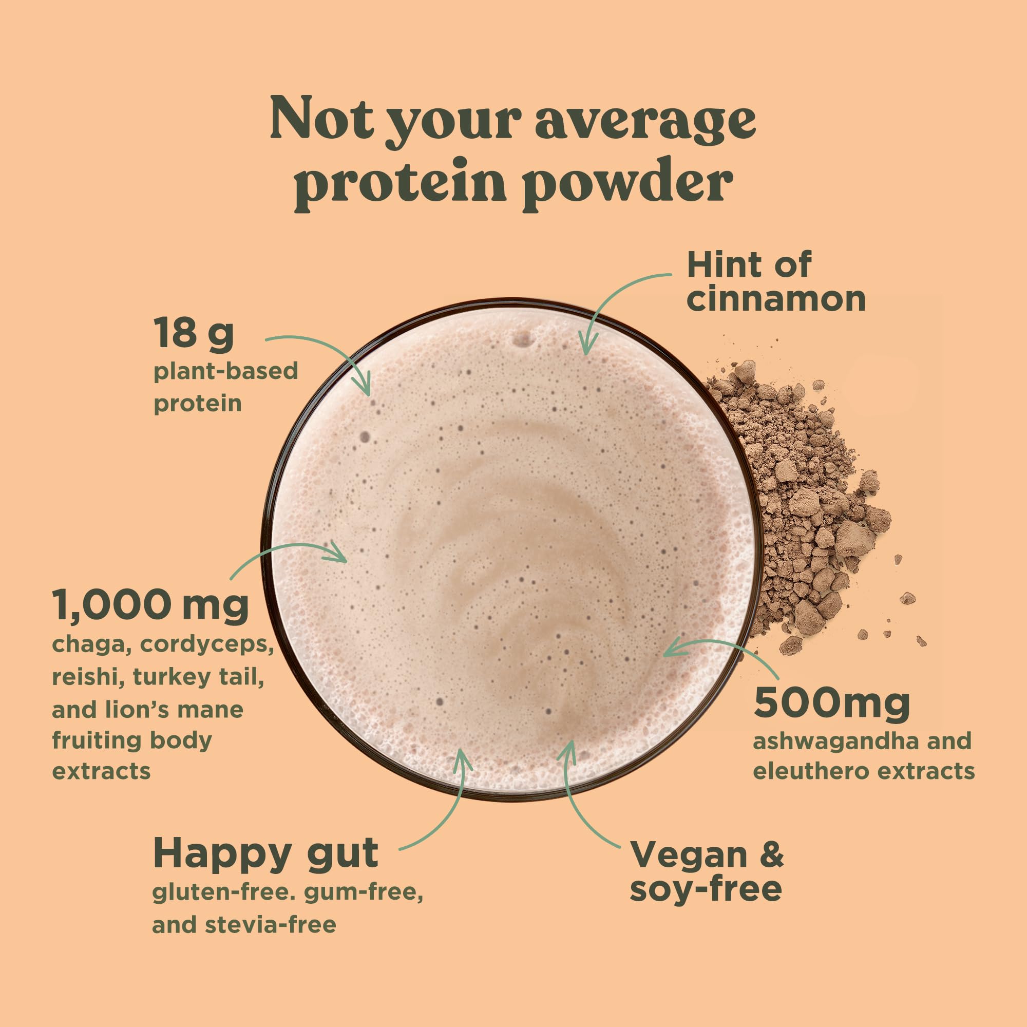 Four Sigmatic Organic Plant-Based Protein Powder - Unflavored Vegan Protein with Lion’s Mane, Chaga & Cordyceps Mushrooms | Brain Function & Immune Support Supplement | 16.9 oz | Ideal for Smoothies, Post-Workout Recovery & Healthy Meal Replacement
