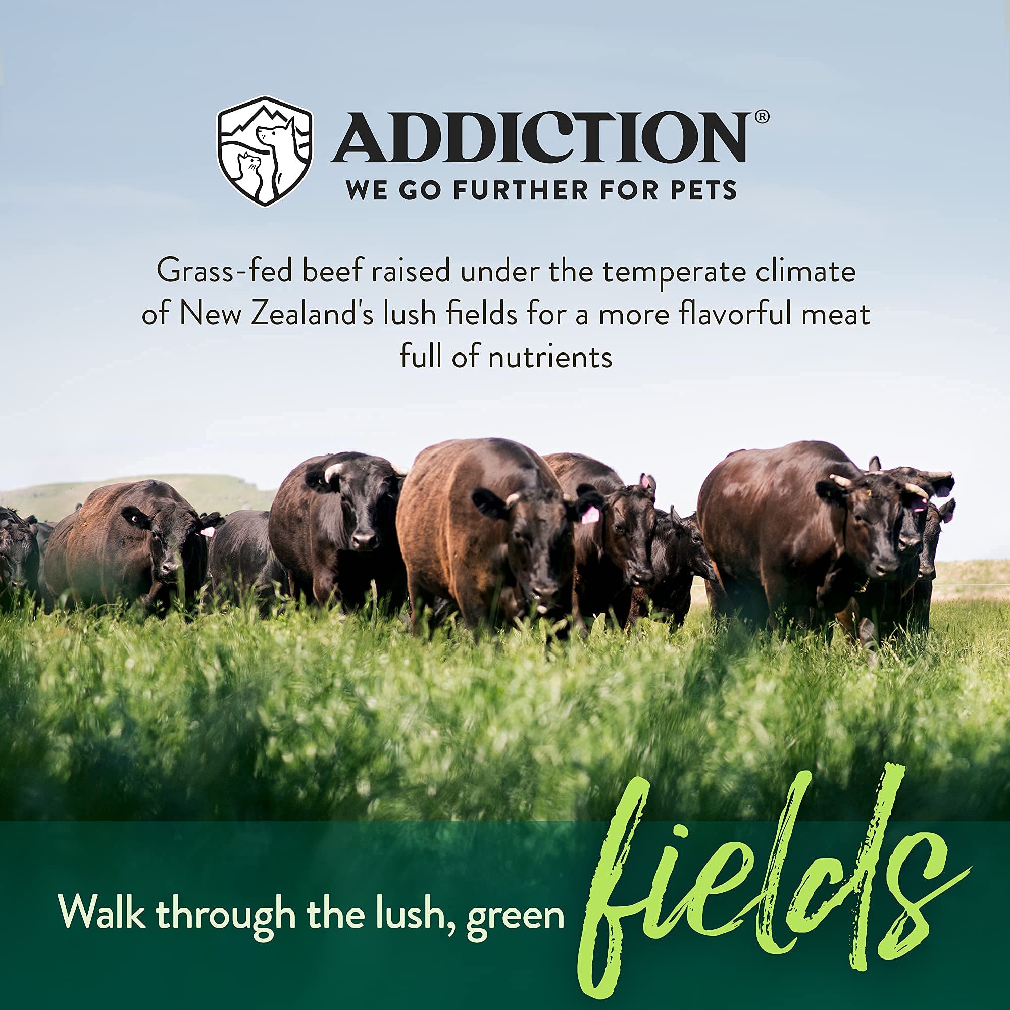 Addiction Meaty Bites Hypoallergenic Dog Treats - High Protein Grain-Free Soft Dog Snacks - Made in New Zealand with Real Beef - 4oz (6 Pack) for Training, Rewards & Sensitive Stomachs