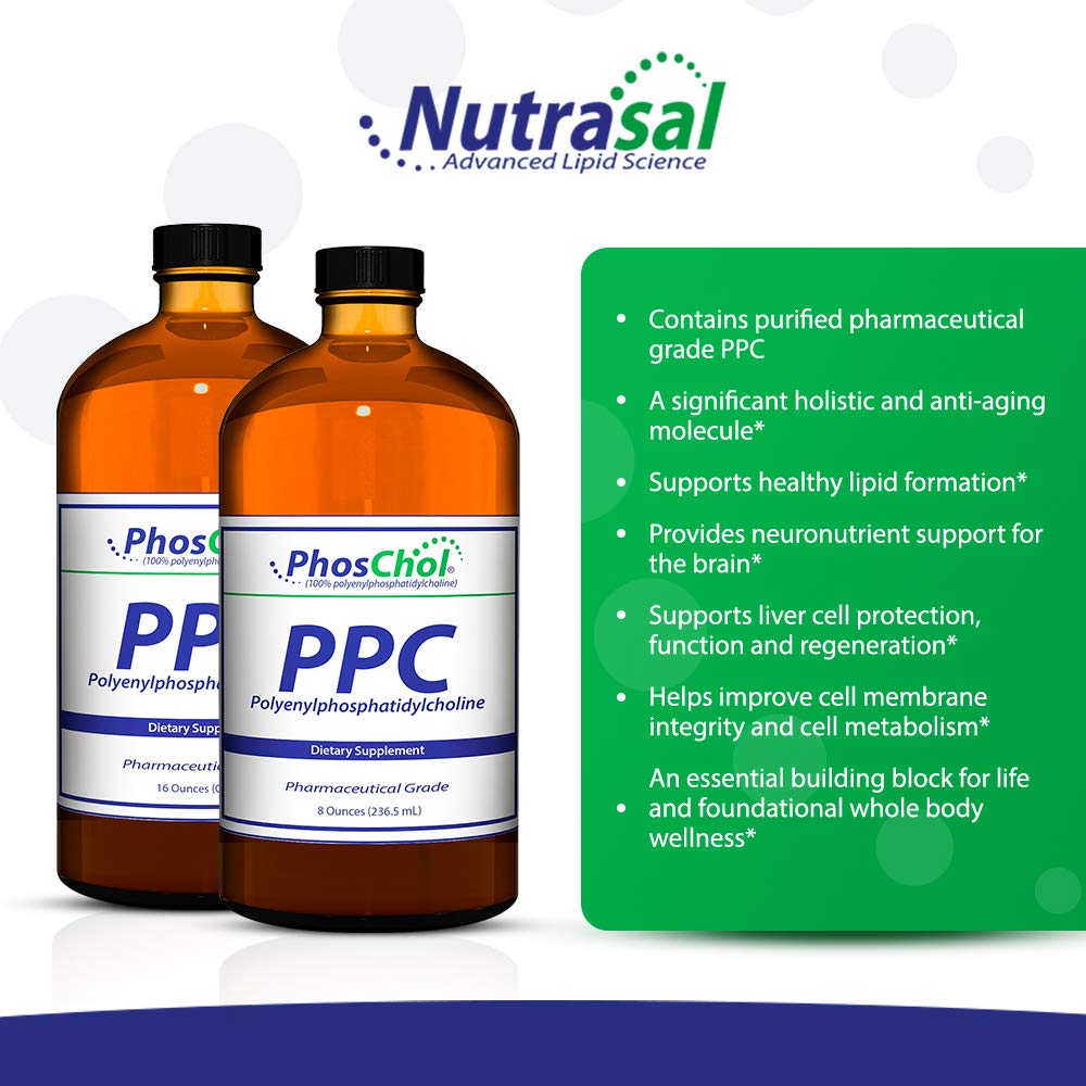 PhosChol PPC 3000mg Polyenyl PhosphatidylCholine Liquid Supplement - 16 oz Bottle for Liver Support & Brain Health | Ideal for Daily Wellness & Detox Routine