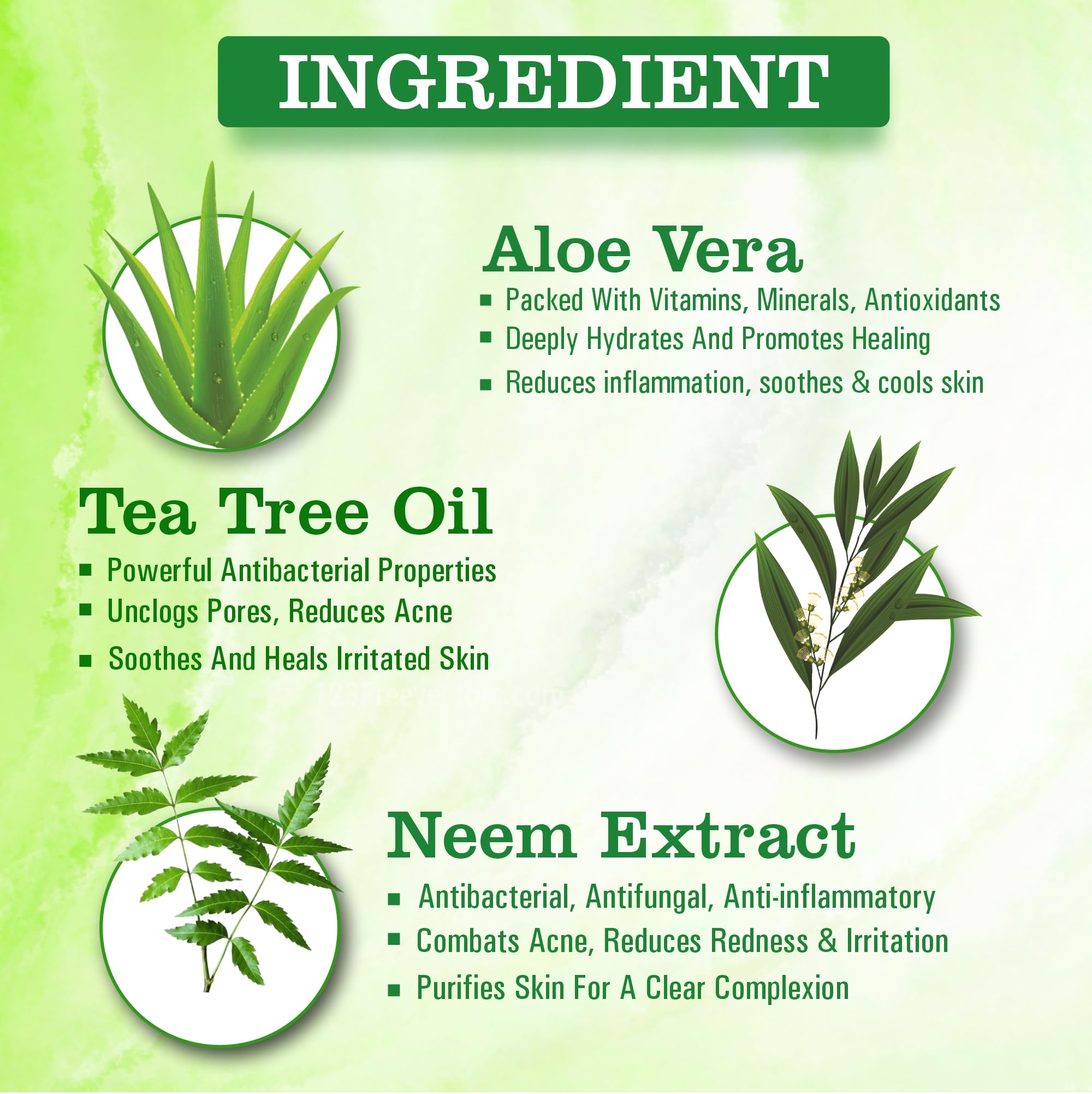 Tea Tree Face Wash with Aloe Vera & Neem Extract - Deep Cleansing, Acne & Oil Control for All Skin Types | Paraben-Free, 60ml | Promotes Glow & Radiance | Perfect for Daily Skincare & Blemish-Prone Skin