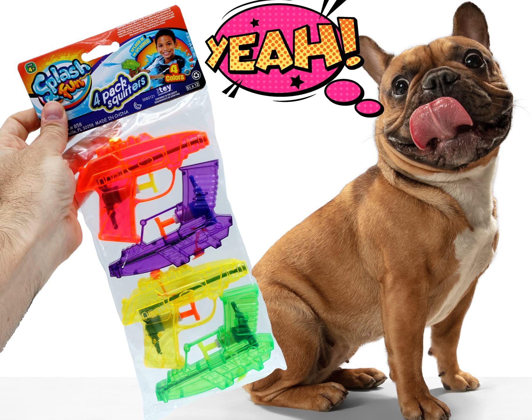 Mini Water Gun Toy 2 Packs (8 Guns) - Bulk Water Squirt Soaker Guns for Kids & Adults | Fun Outdoor Water Blaster for Dog Training, Cat Training, Beach, Pool Parties & Summer Water Games | Perfect for Backyard BBQs, Birthday Parties & Family Reunions - Model F-858-2s