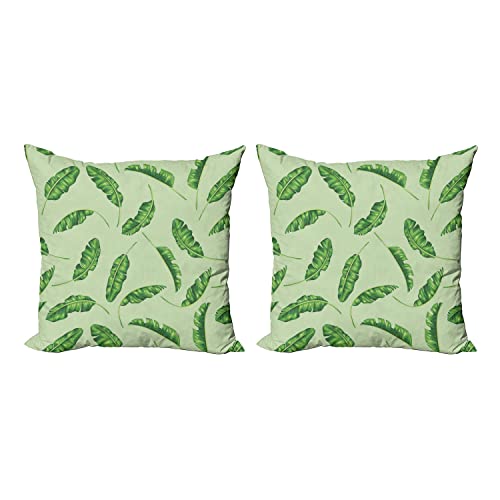 Green Pistachio Green