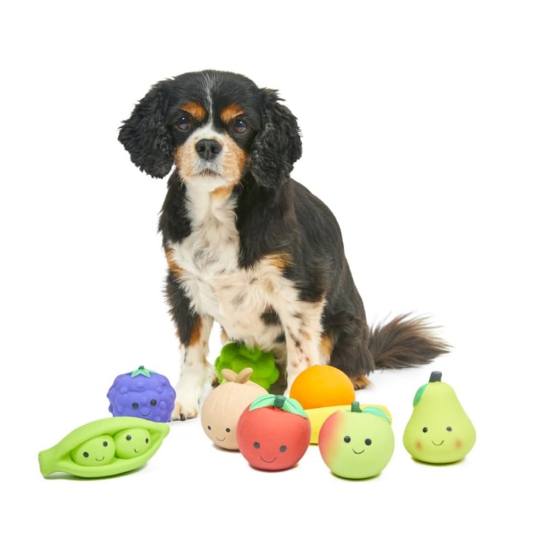 Natural Latex Pea Pod Dog Chew Toy for Small Dogs - Durable & Safe Puppy Teething Toy for Indoor & Outdoor Play