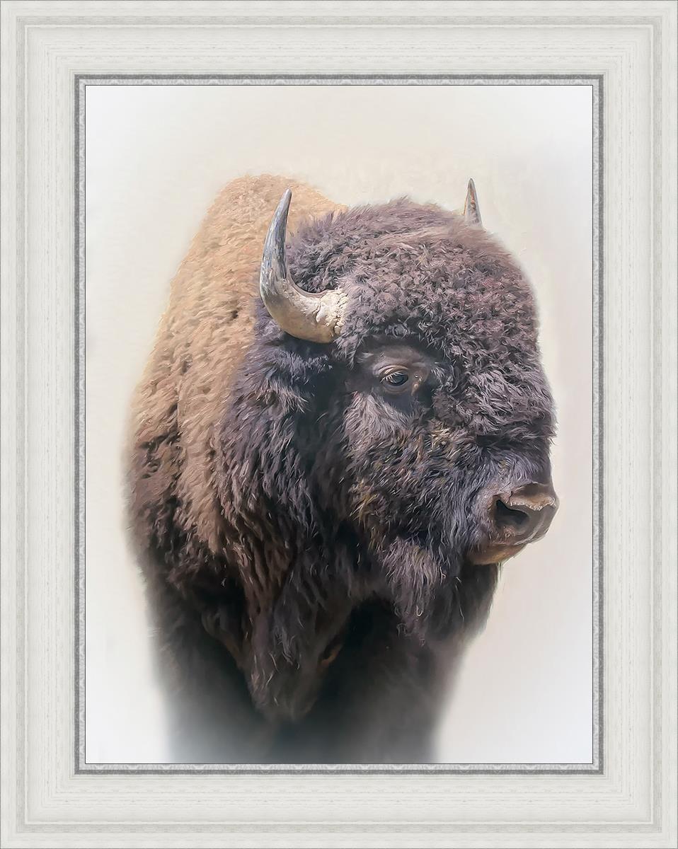 Bison By Matthew Grant | Premium Bison Meat & Jerky | High-Protein Snacks for Camping, Hiking & Outdoor Adventures