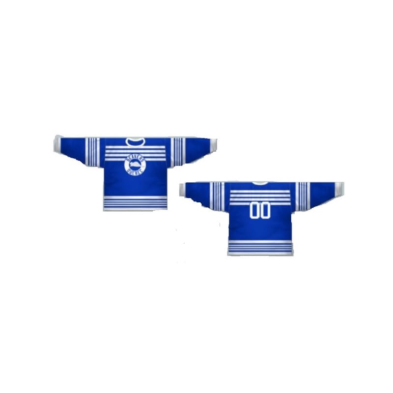 Custom Quebec Castors Hockey Jersey - Personalized Name & Number Stitched - Perfect for Games, Fans & Collectors