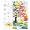 Tree Seasons