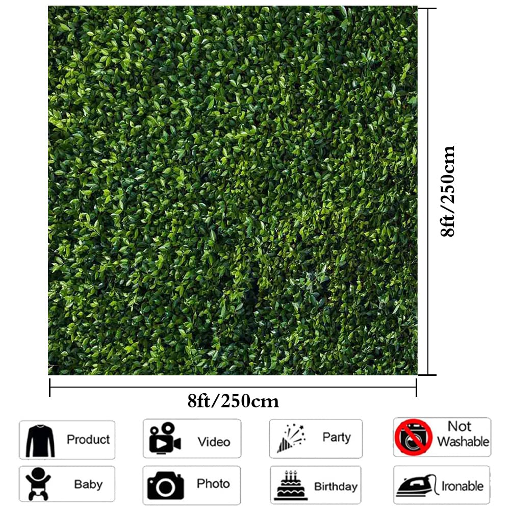 8x8ft Green Leaves Photography Backdrop - Spring Nature Party Decor, Outdoor Theme Newborn Baby Shower & Wedding Photo Background - Vinyl Studio Props for Booth, Portrait & Event Photography | Perfect for Baby Showers, Weddings, Birthday Parties & Studio Sessions