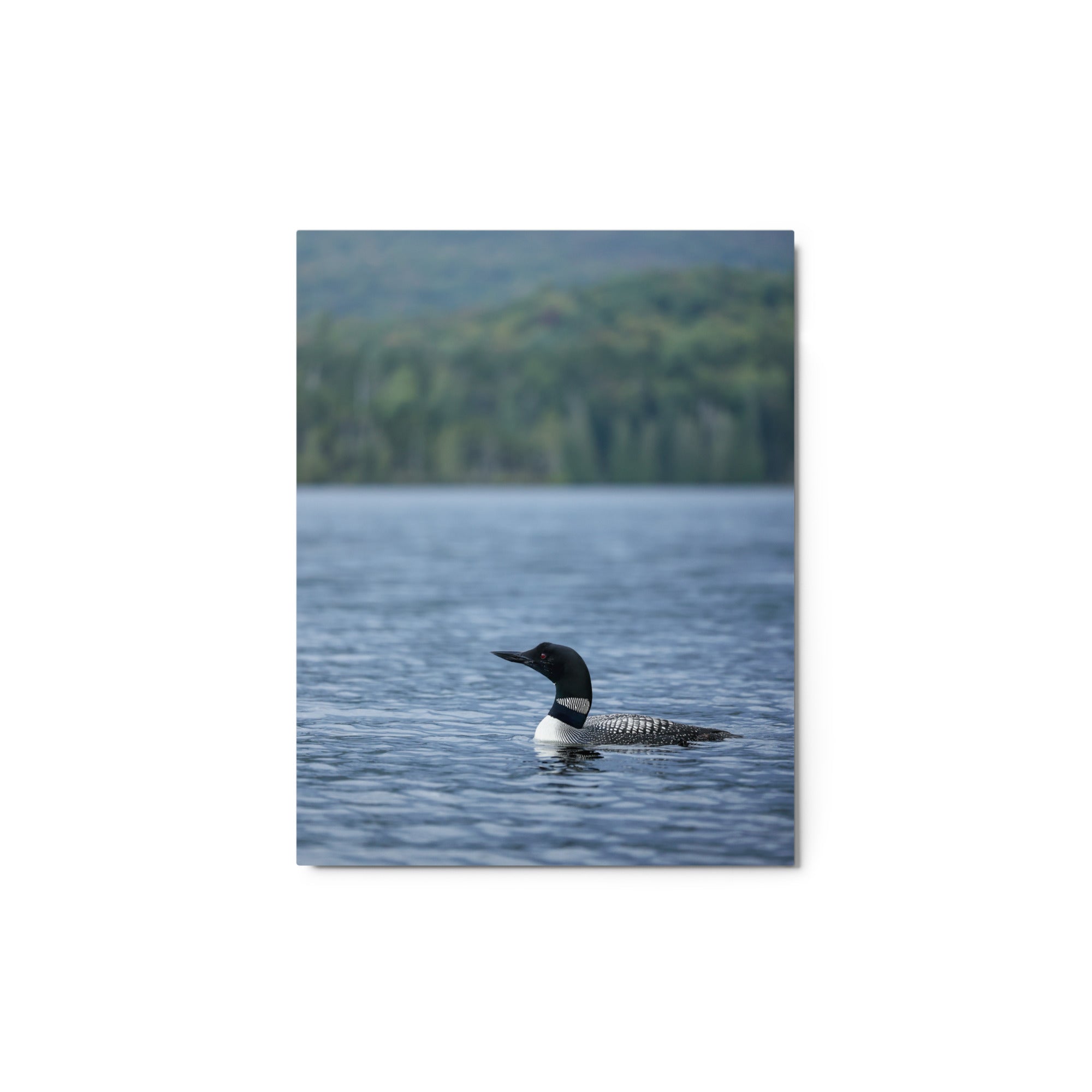 Adirondack Loon Metal Wall Art Print - Premium Aluminum Decor for Living Room, Bedroom & Office - Nature Inspired Home Decor