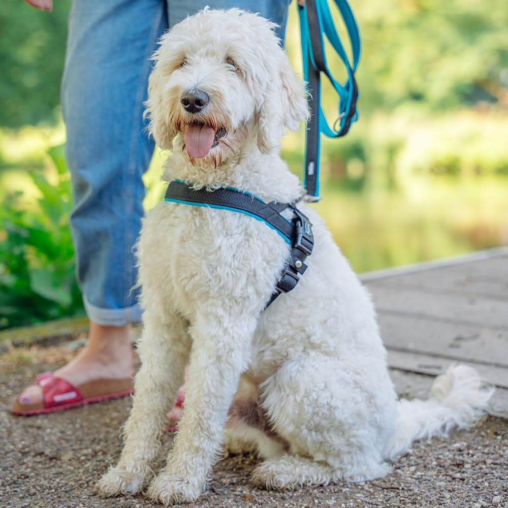 Preno Mesh Training Leash for Dogs - 200 cm (6.5 ft) Long, 25-35 mm Wide, Durable & Comfortable Pink Dog Leash - Perfect for Walking, Running, and Outdoor Training with Your Pet