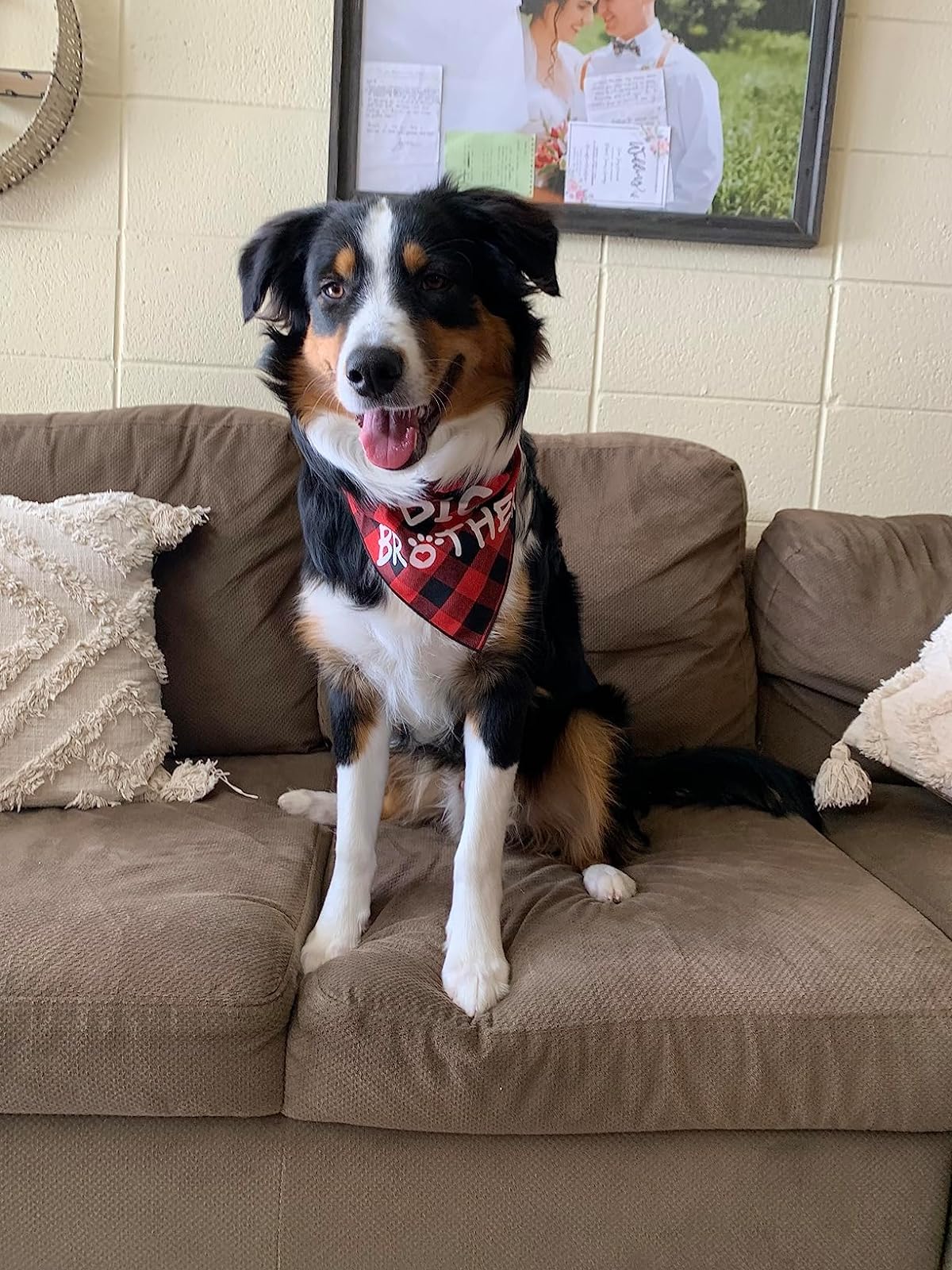 Big Brother Dog Bandana - Buffalo Plaid Pet Scarf for Pregnancy Announcement - Perfect for Christmas, New Year & Family Photo Shoots