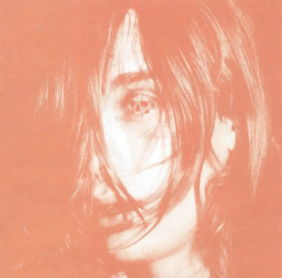 Deerhunter - Microcastle / Weird Era Cont. Vinyl LP Album - Indie Rock Music for Home Listening & Record Collectors