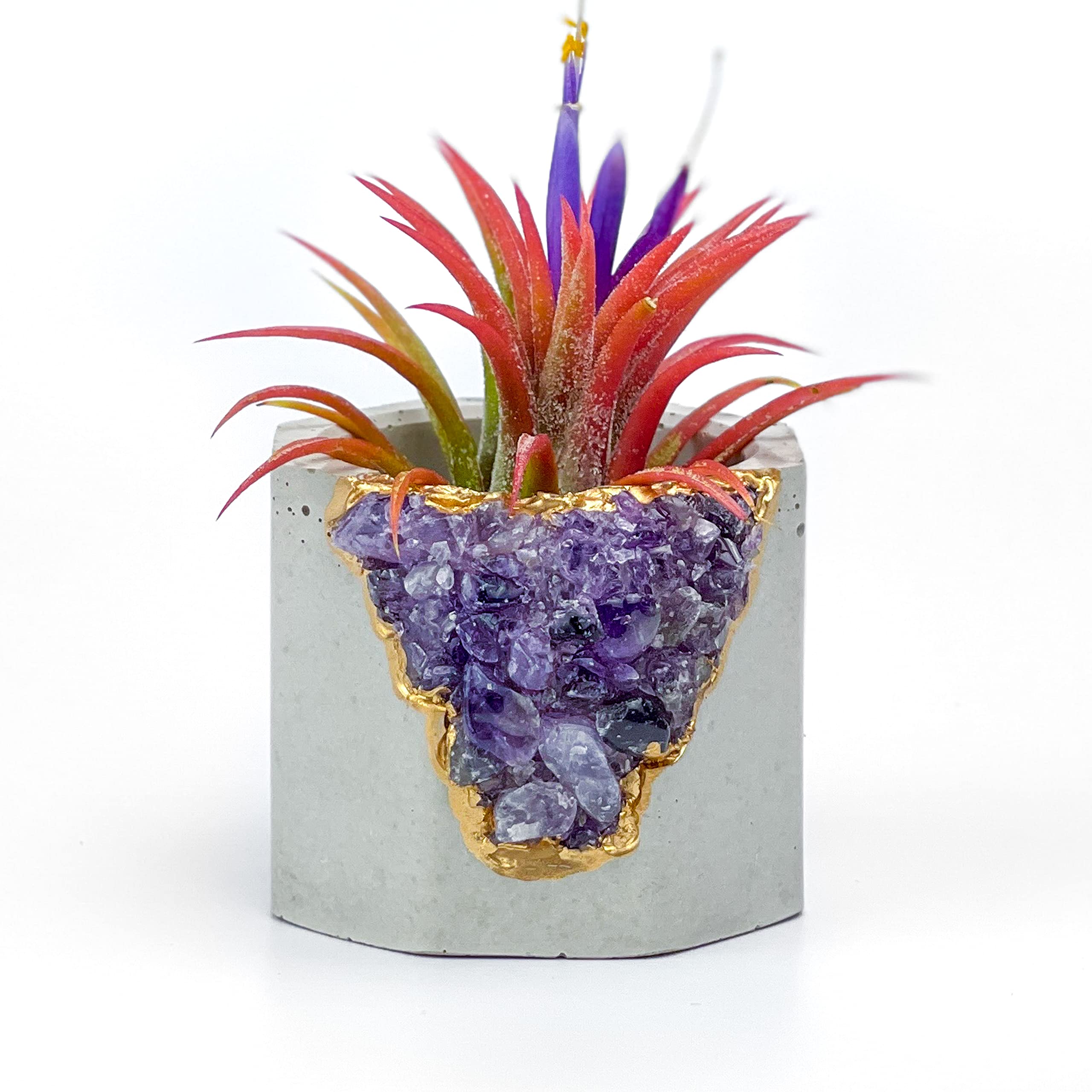 Geode Planter - Unique Air Plant Holder with Raw Amethyst Crystal | Mini Succulent Pot in Purple & Gold | Small Cactus Planter & Healing Crystal Candle Holder for Home Decor, Office Desk, Meditation Space & Gift Ideas