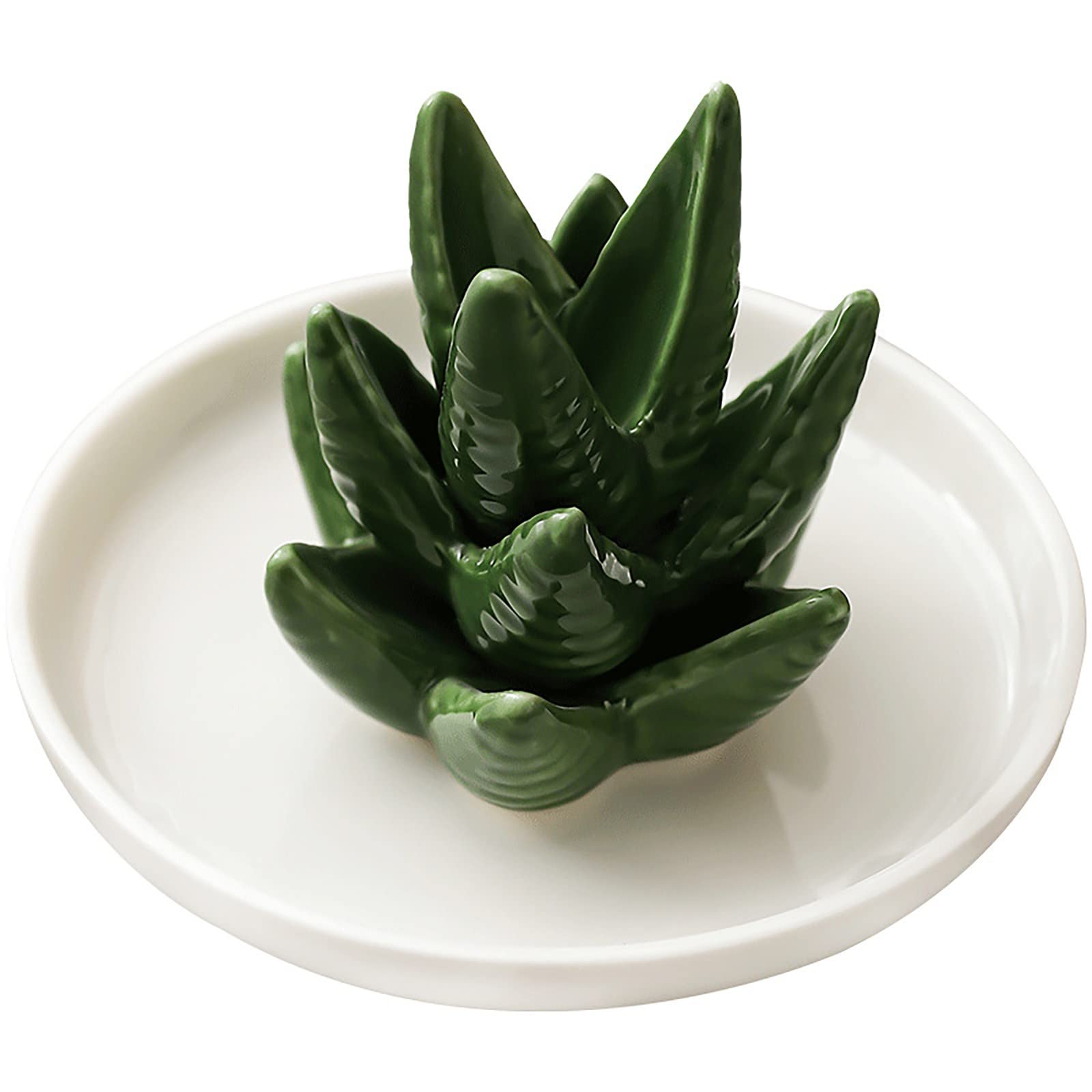 White Aloe Jewelry Dish with Decorative Design - Elegant Ring Holder & Jewelry Organizer for Birthday Gifts, Home Decor, and Vanity Display