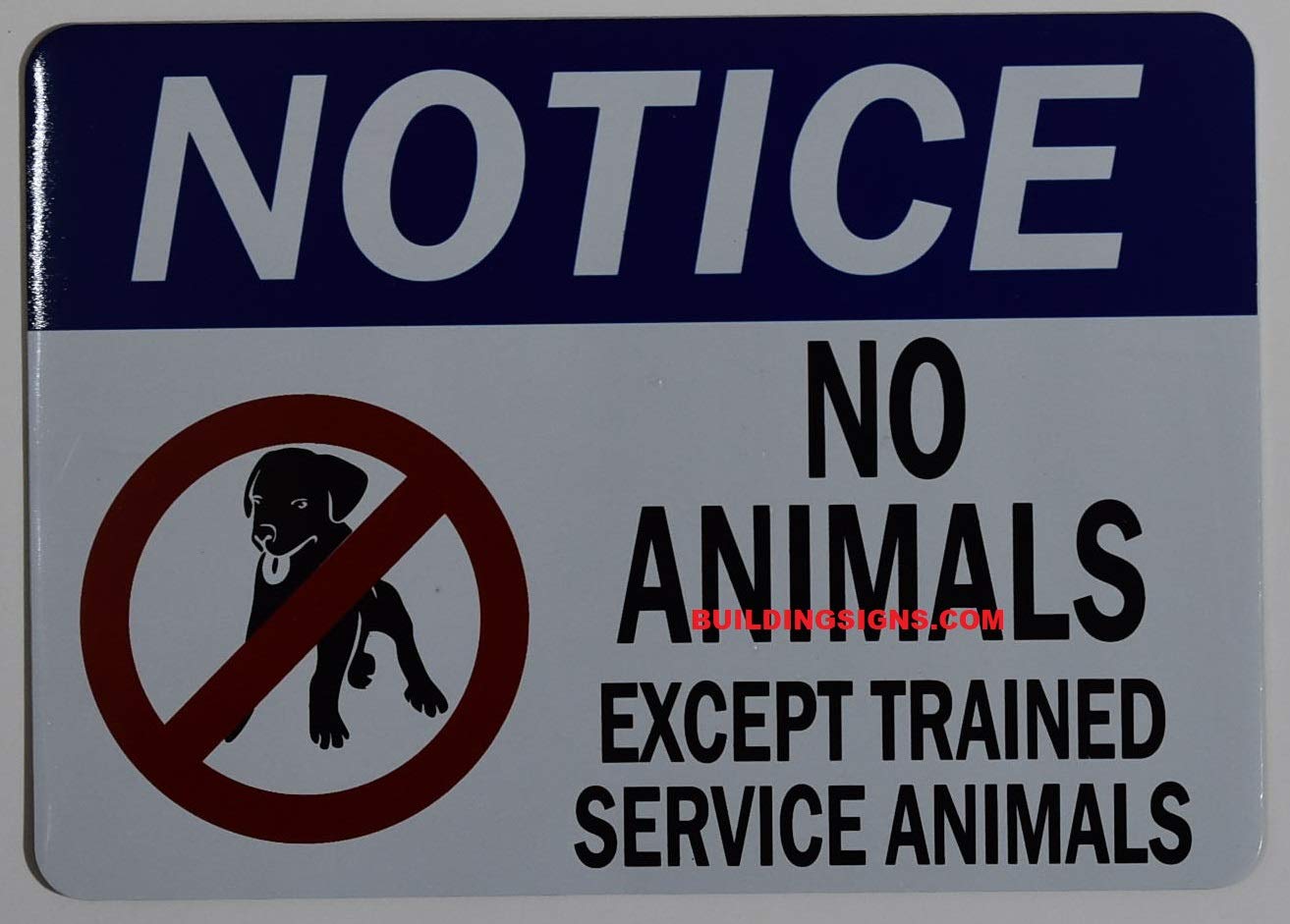 Service Animals Only Sign - 5x7 White with Tape for Doors & Public Spaces