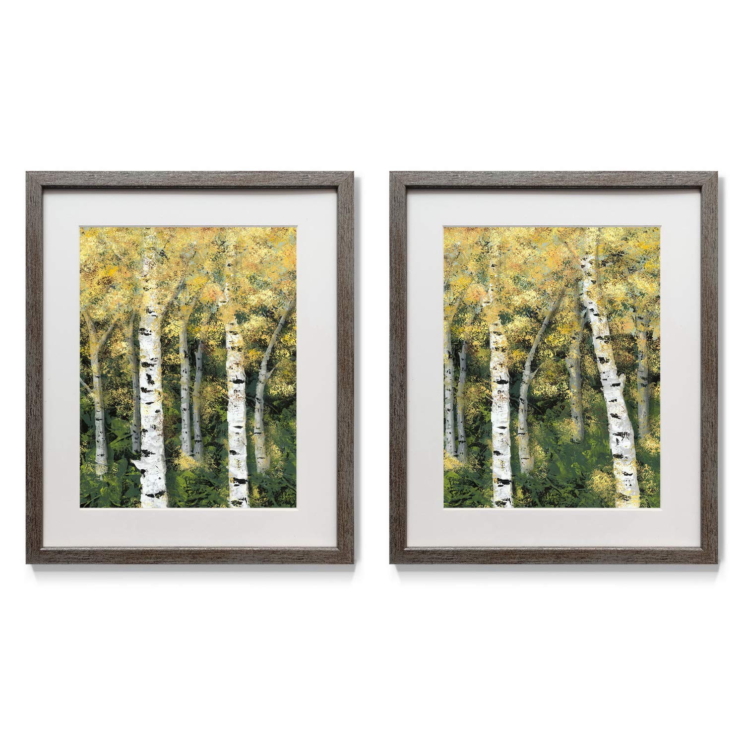 Renditions Gallery Birch Treeline 2-Piece Framed Art Set - Colorful Floral Botanical Flower Paintings in Yellow & Green with Distressed Silver Frame, White Mat & Plexiglass (16x20 Inches) - Handmade in USA - Perfect for Living Room, Bedroom or Office Wall Decor