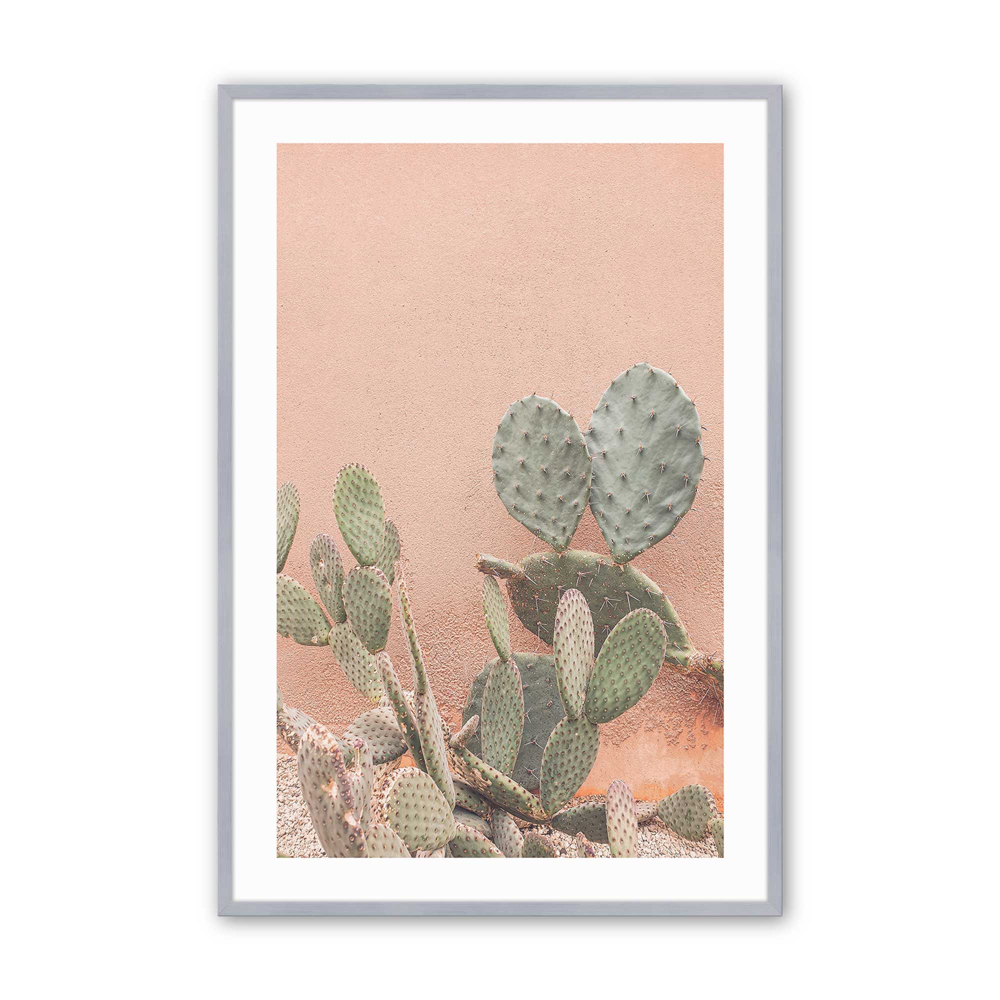 Desert Flora Print - Stunning Cactus & Succulent Design for Home Decor, Fashion & Gifts | Perfect for Wall Art, Clothing & Eco-Friendly Style