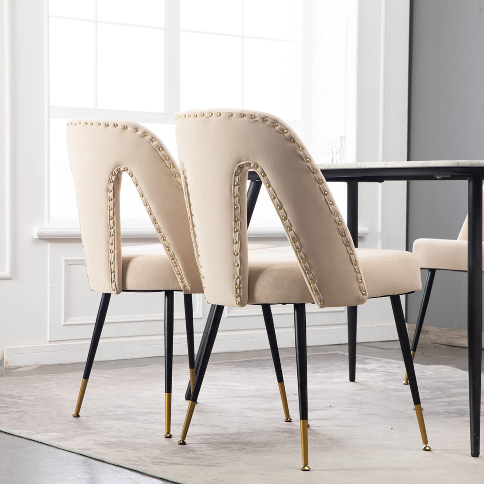 Aoowow Modern Dining Chairs Set of 2 - Velvet Upholstered Side Chairs with Nailhead Trim & Gold-Tipped Black Metal Legs, Beige - Perfect for Dining Room, Kitchen, Breakfast Nook & Small Space Decor