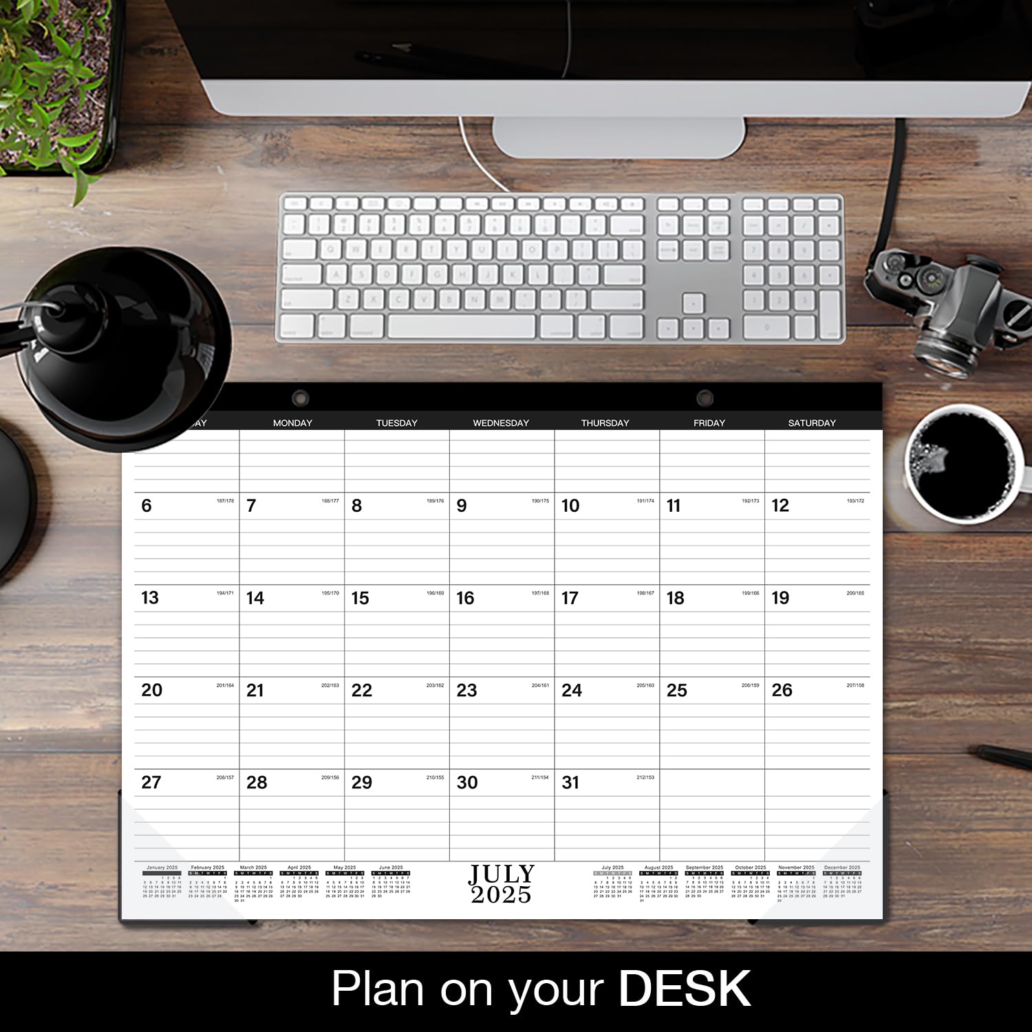 2024-2025 Monthly Desk Calendar - 17