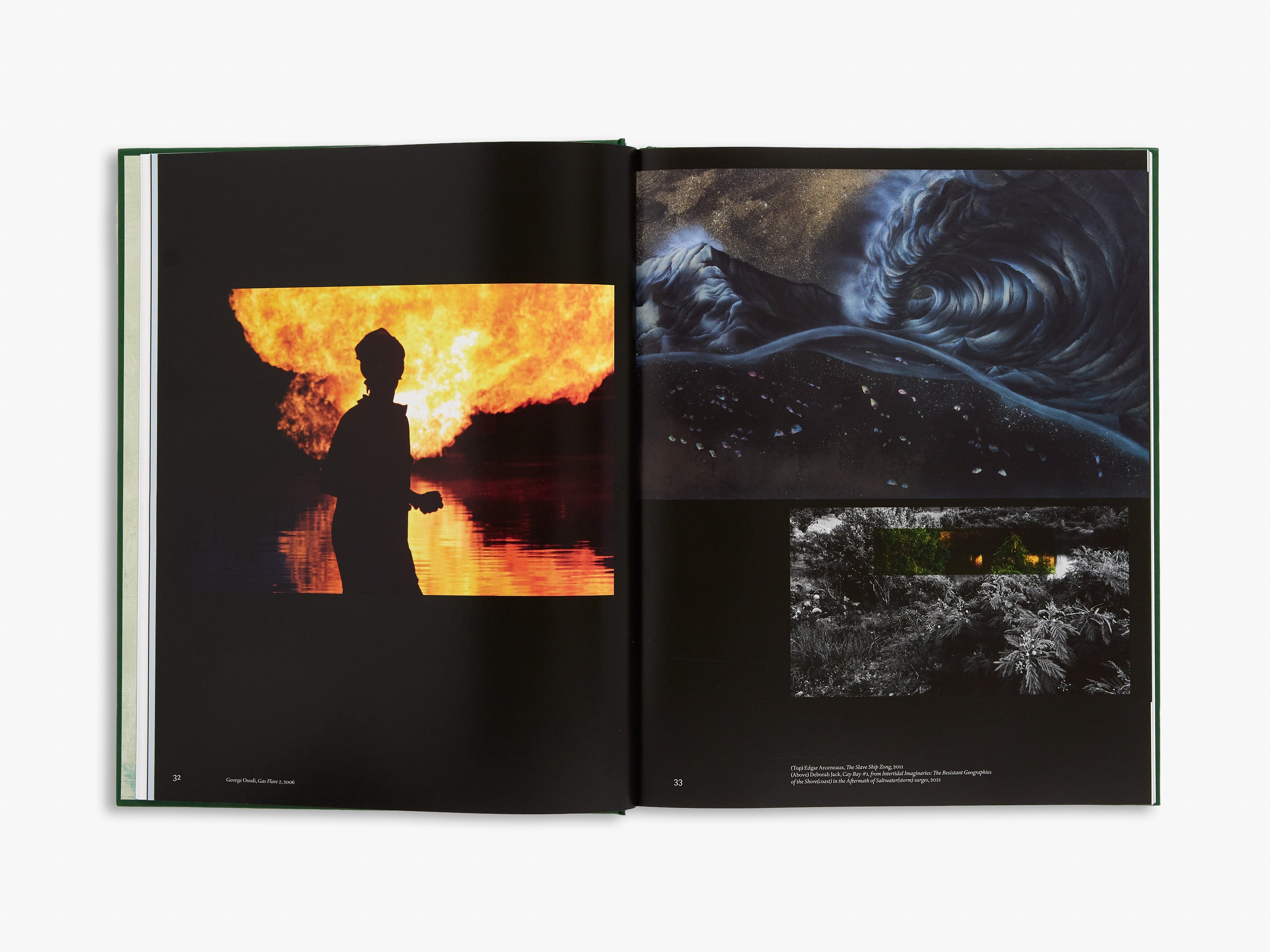 Black Earth Rising (Signed Copy) - Limited Edition Book for Collectors & Fans - Perfect for Gifts, Book Clubs & Home Libraries