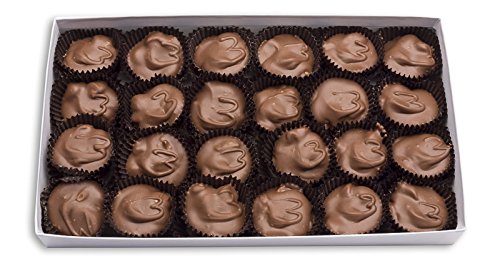 Mrs. Cavanaugh's 5 lb Macadamia Nut Clusters in Creamy Milk Chocolate - Perfect for Gifts, Parties & Holiday Treats