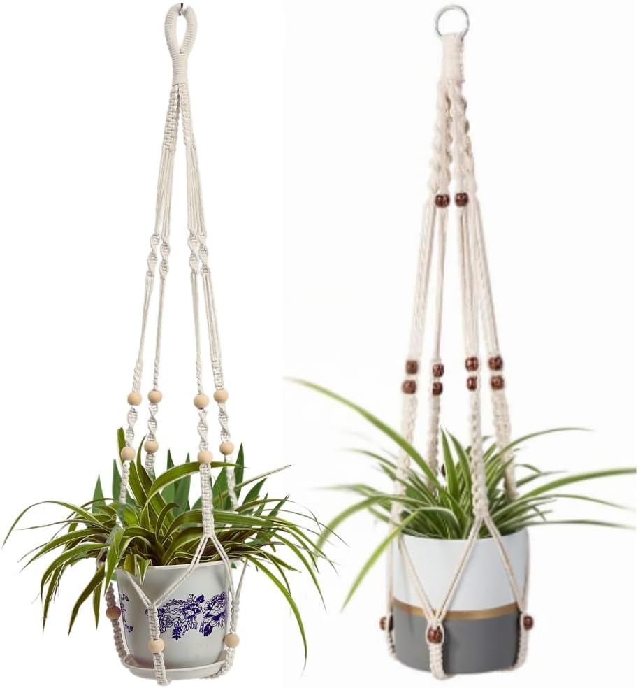 Ivory - Pack of 2