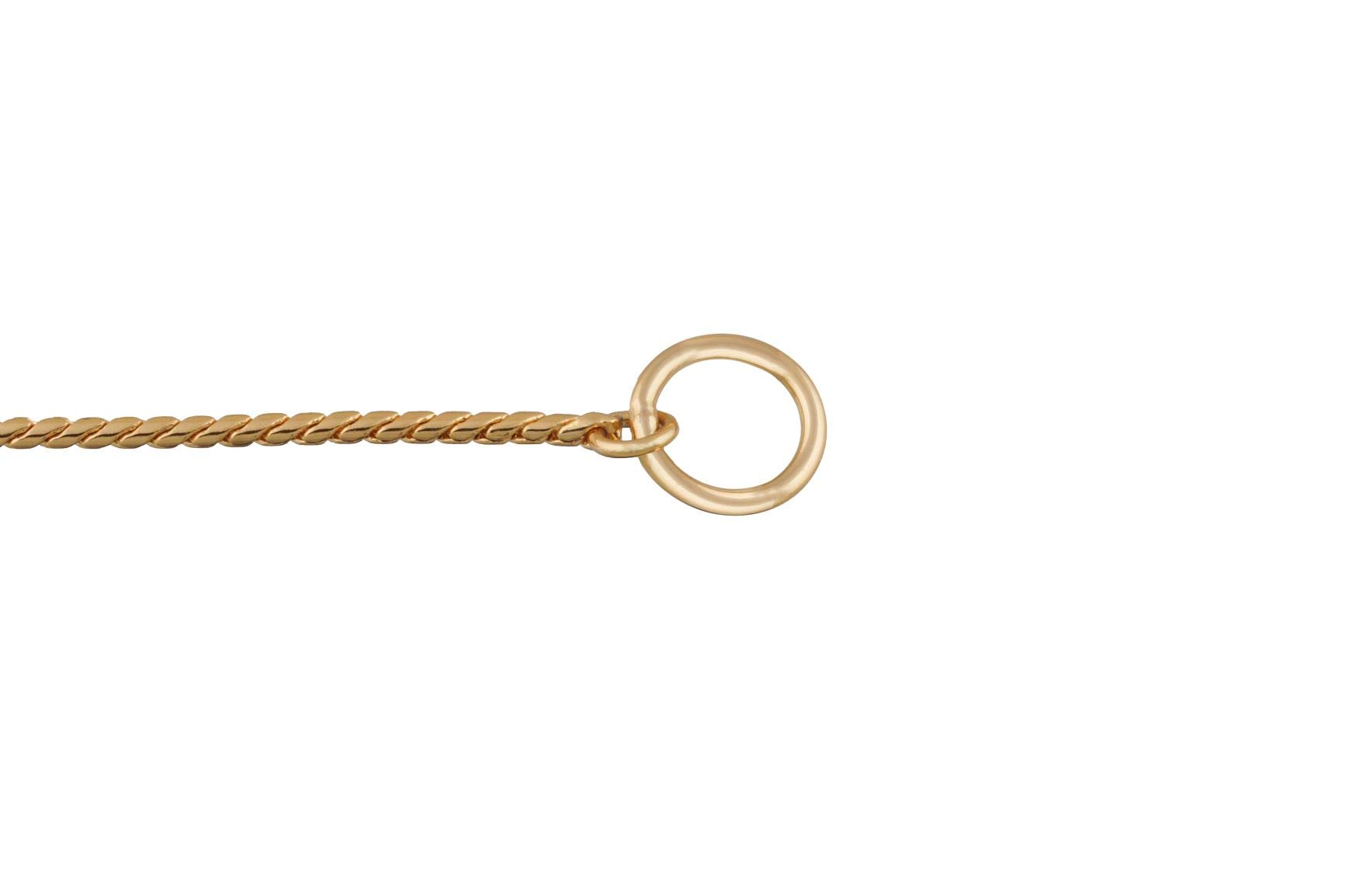 Premium Metal Chain Dog Show Collar - Adjustable Brass Snake Chain Slip Collar for Toy, Small, Medium, Large & XL Dogs - Gold 26