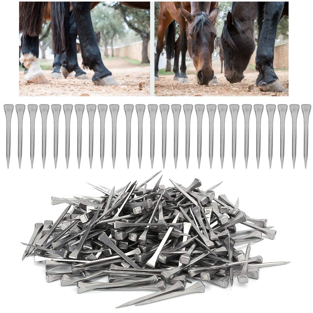 Mokernali 250 Pcs Stainless Steel Horseshoe Nails - 2 Inch Sharp Bevel E5 Horseshoe Nails for Horse Training, Equestrian Sports & Farrier Tools - Perfect for Horse Hoof Care, Blacksmithing & Stable Maintenance