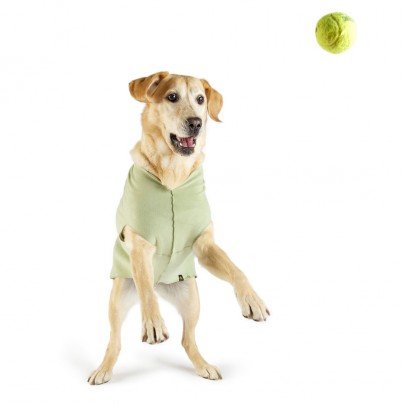 Gold Paw Series Fleece Jacket for Dogs - Soft & Warm Winter Coat, Size 6 in Eucalyptus Green - Perfect for Outdoor Walks & Cold Weather Protection