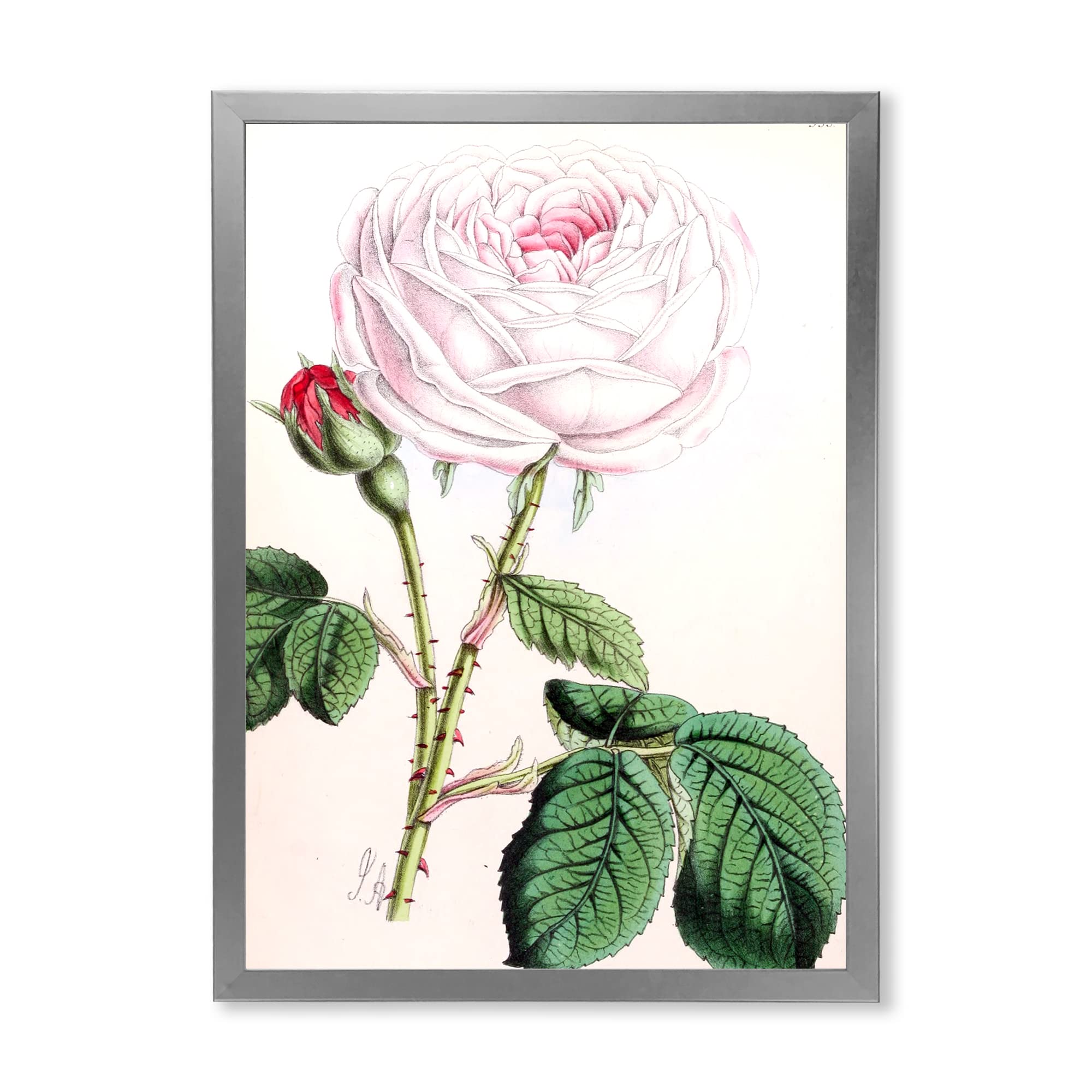 Vintage Pink Floral Traditional Framed Wall Art - Home Decor for Living Room, Bedroom & Office - Perfect Gift for Housewarming & Wedding