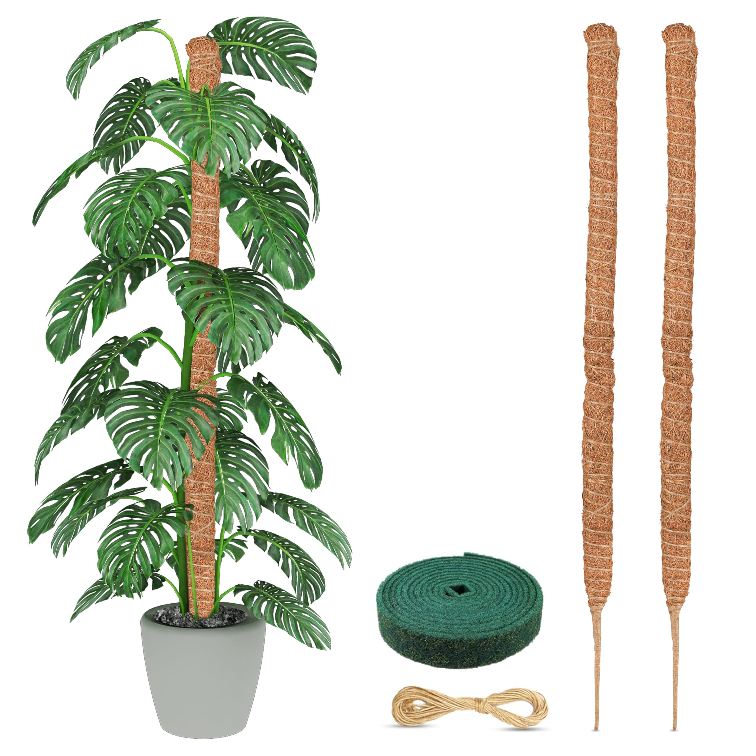 EcoNour Moss Pole for Plants (2-Pack) 63-Inch | Monstera & Pothos Plant Support Stake for Climbing Indoor Plants | Natural Coir Totem Pole for Vertical Growth | Perfect for Indoor Gardens, Living Rooms & Home Decor