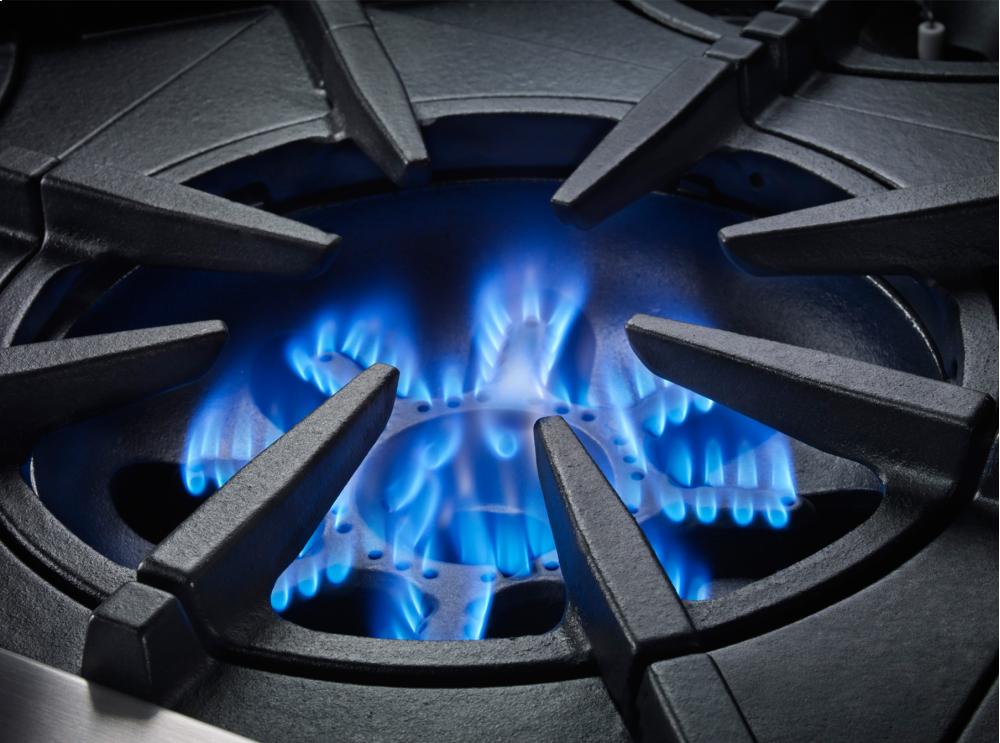 Bluestar BSPRT244B 24-Inch Platinum Gas Rangetop - Professional Grade Cooktop for Home Chefs & Serious Cooks | Perfect for Gourmet Cooking, Entertaining & Open Kitchen Designs