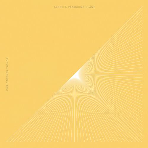 Along a Vanishing Plane Vinyl LP Record - Limited Edition Collector's Item for Music Enthusiasts | Perfect for Vinyl Collections, Home Decor & Gift Giving