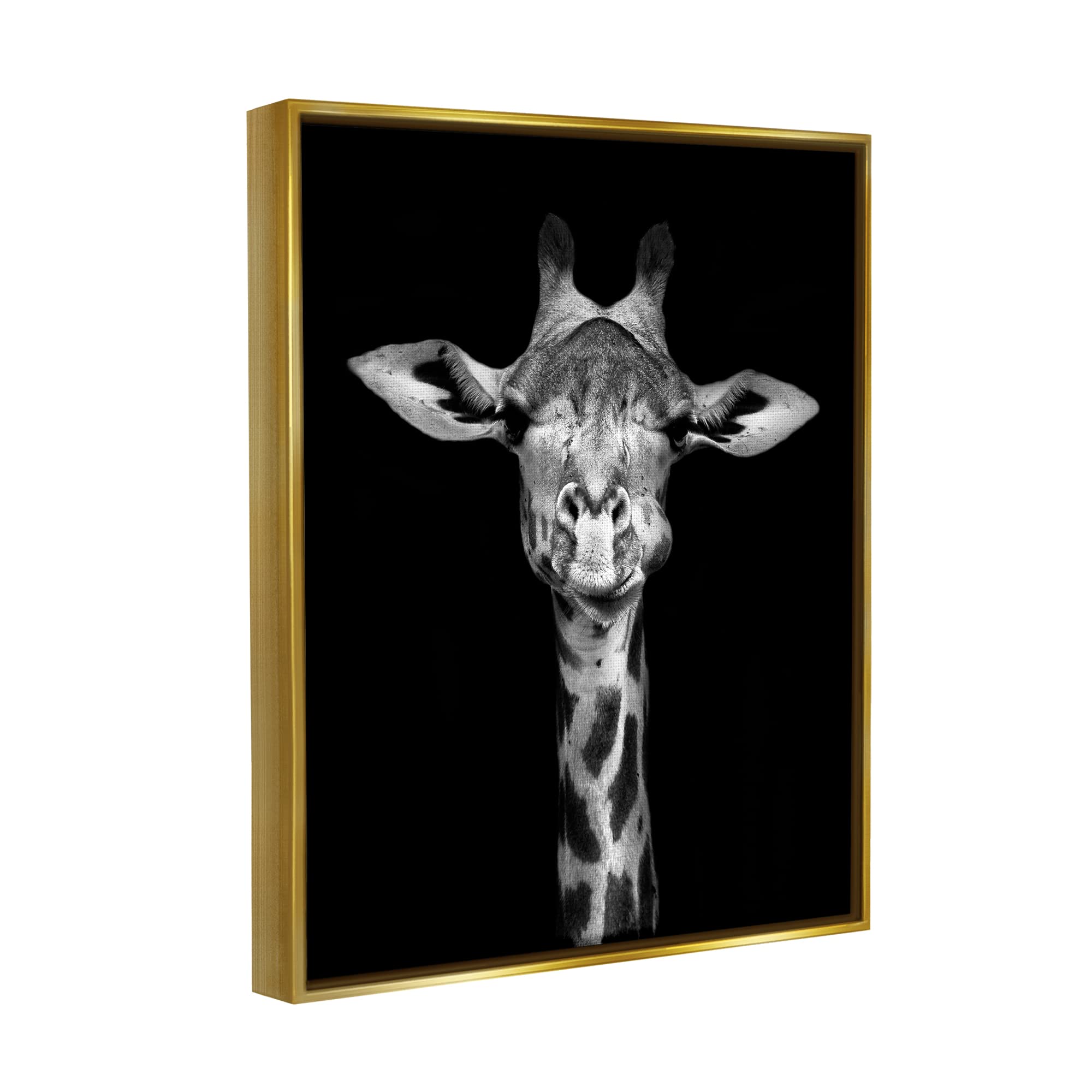 Stupell Industries Black and White Zebra Stripes Detailed Photography Portrait Wall Art - Modern Wildlife Decor for Living Room, Bedroom & Office