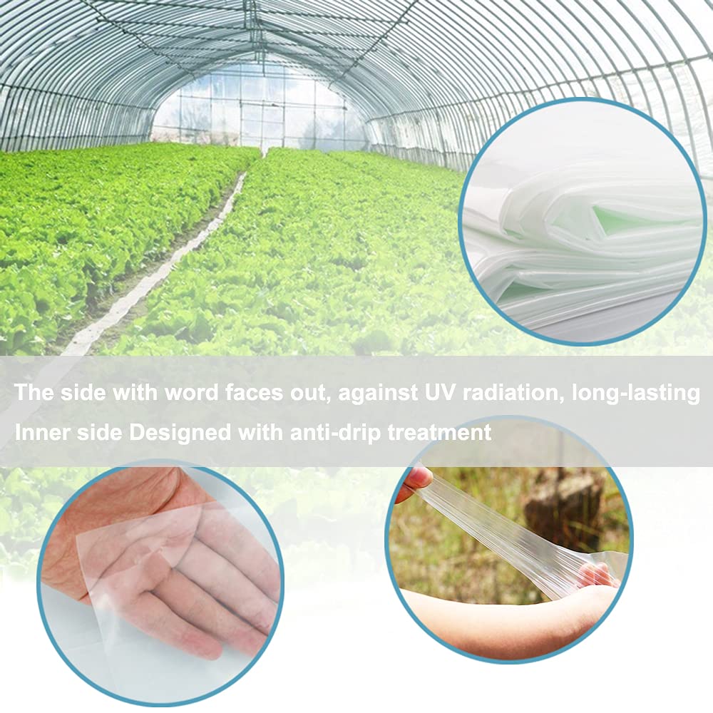 6 Mil Clear Greenhouse Plastic Film Sheeting Cover - 25' x 40' UV Resistant Polyethylene Film for Greenhouses, Hoop Houses & Farms - Durable 4-Year Protection for Plants, Vegetables & Gardening - Perfect for Season Extension, Frost Protection & Hydroponic Growing