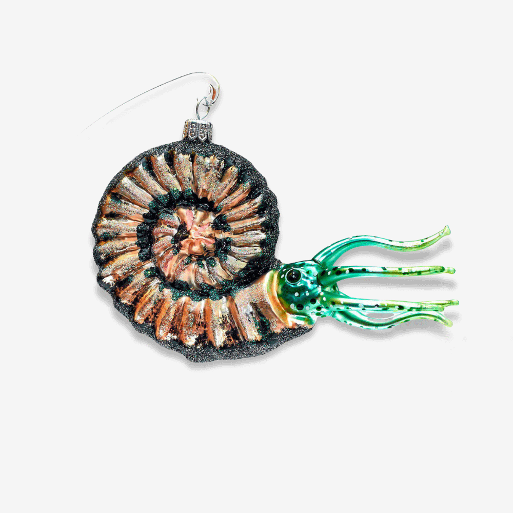 Black & Pink Ammonite Fossil Decor - Natural Stone Home Decoration for Living Room, Bedroom, Office | Unique Gift Idea for Collectors & Nature Lovers