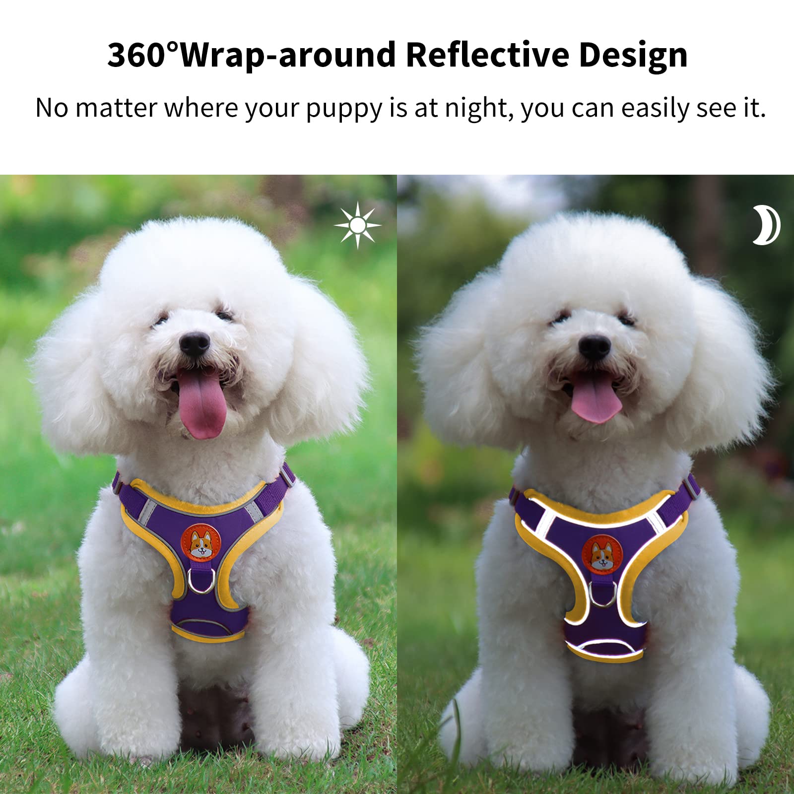 Adjustable No-Pull Dog Harness for Small & Medium Dogs - Reflective Puppy Vest Harness with 2 Leash Clips & Comfort Padding | Perfect for Walking, Training & Outdoor Adventures