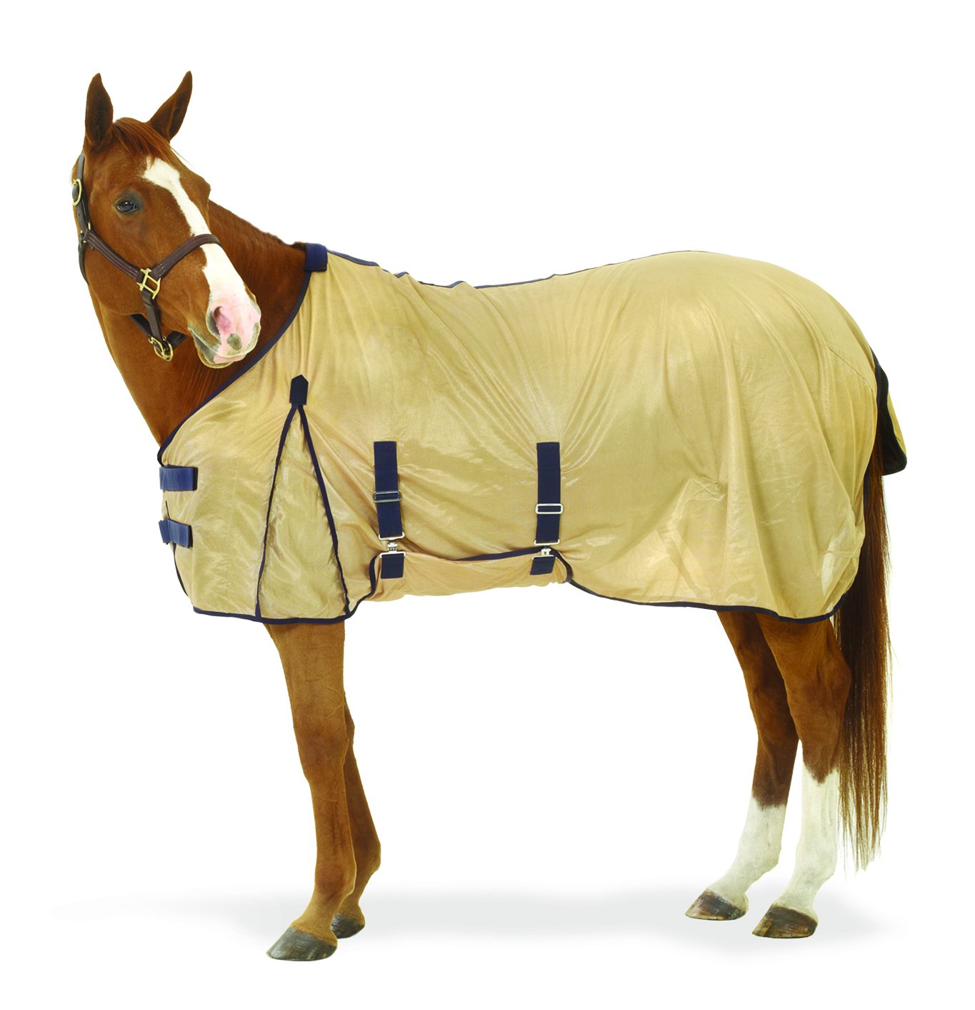 Equi Essentials Softmesh Fly Sheet 81