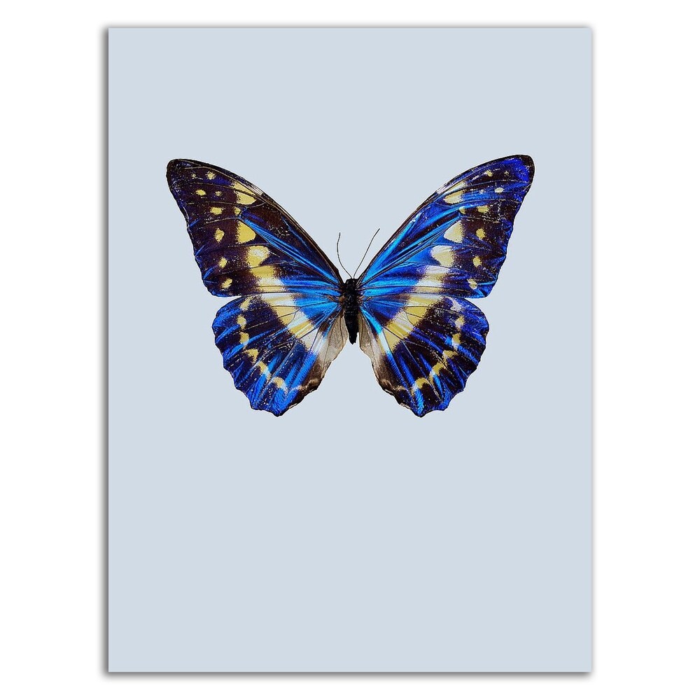 Blue Butterfly Wall Art by Incado - Stunning Canvas Print Ready to Hang - Perfect for Living Room, Bedroom & Office Decor