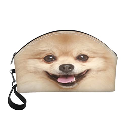 3d Pomeranian