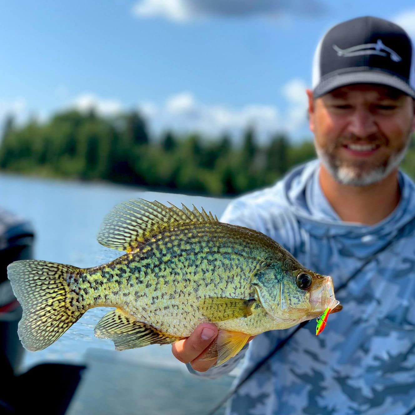 Northland Fishing Tackle Puppet Minnow Lure - UV Electric Perch Color (9/16 Oz) - Ideal for Walleye, Pike, Trout & Panfish - Perfect for Ice Fishing & Freshwater Angling