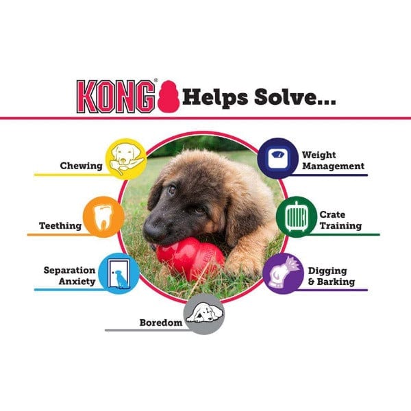 Kong Puppy Dog Chew Toy - Durable Rubber Chew Toy for Puppies & Small Dogs (3 Sizes) - Perfect for Teething, Training & Playtime