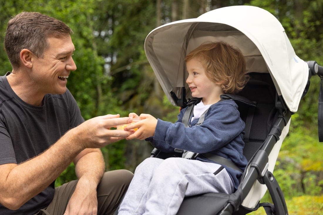 UPPAbaby Ridge All-Terrain Jogging Stroller - Lightweight Compact Travel Stroller for Running, Hiking & Outdoor Adventures