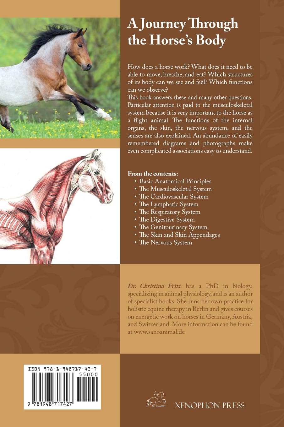 Comprehensive Guide to Horse Anatomy - Detailed Exploration of Equine Body Structure | Perfect for Veterinarians, Equestrians & Animal Science Students