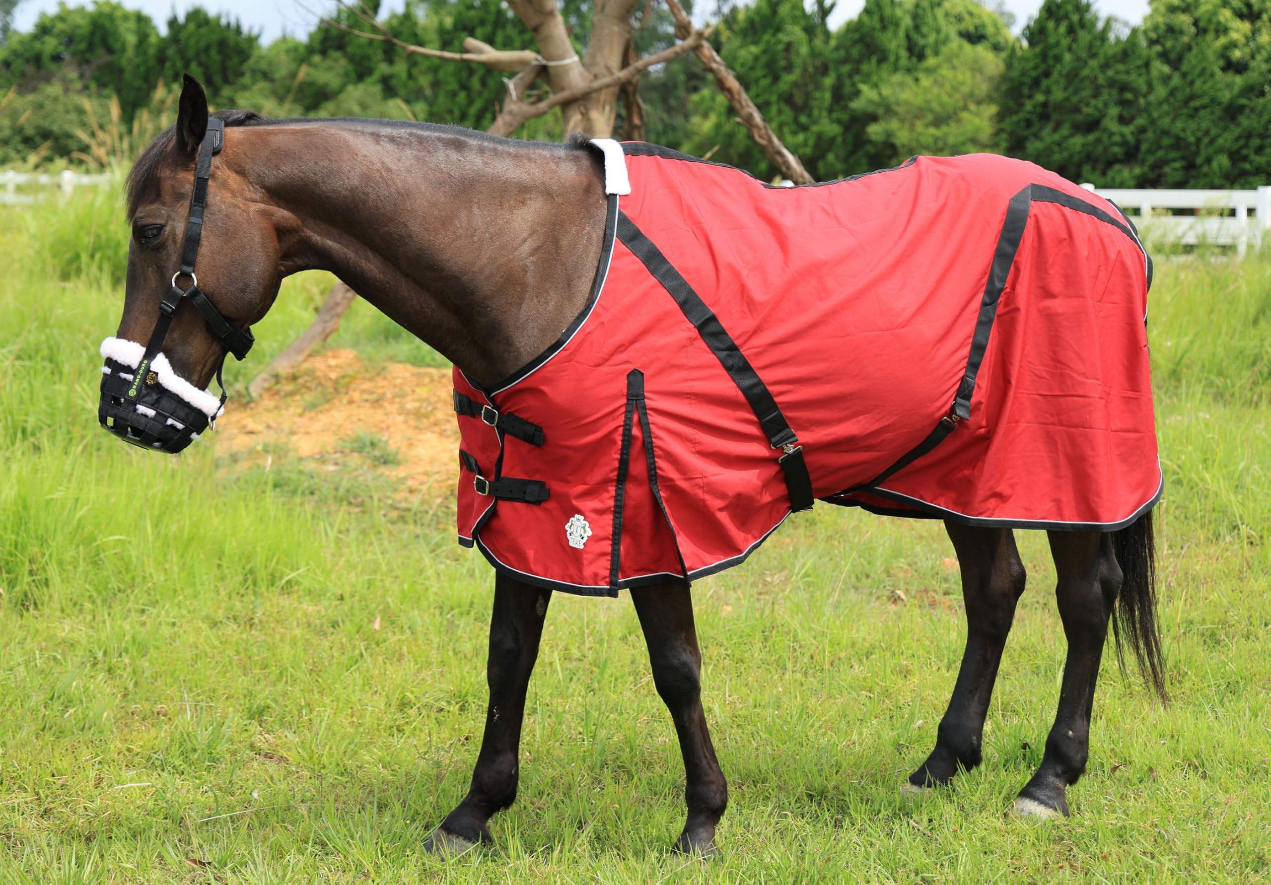 Premium Horse Canvas Sheet for Stable & Blanket Liner - Breathable, Durable & Washable (51