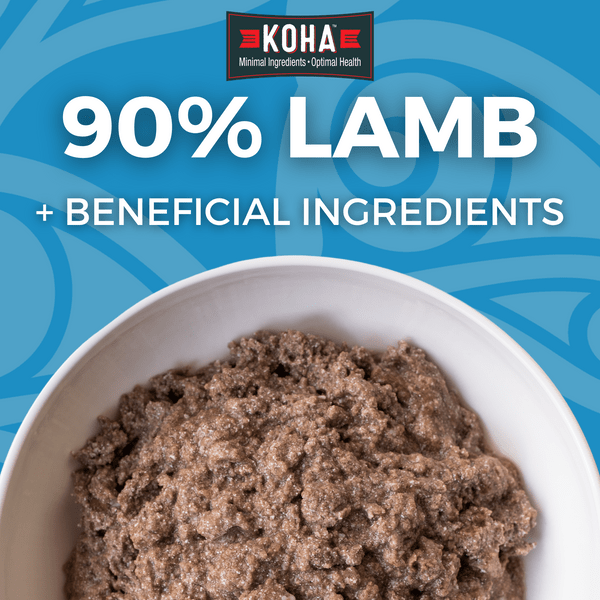 KOHA LID Lamb Entrée Canned Dog Food - Grain-Free, High-Protein Wet Food for Dogs - Perfect for Sensitive Stomachs & Picky Eaters - Great for Mealtime, Training Treats & Travel Feeding