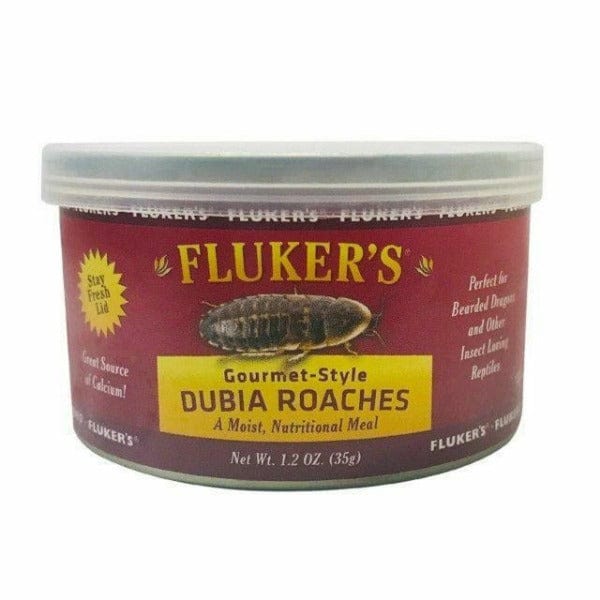 Premium Fluker's Gourmet Style Dubia Roaches - High Protein Reptile Food for Bearded Dragons, Leopard Geckos & Chameleons | Live Feeder Insects for Optimal Pet Nutrition & Hunting Stimulation