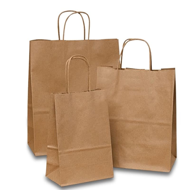 Eco-Friendly Natural Kraft Paper Bags 10x10 Inches with 5