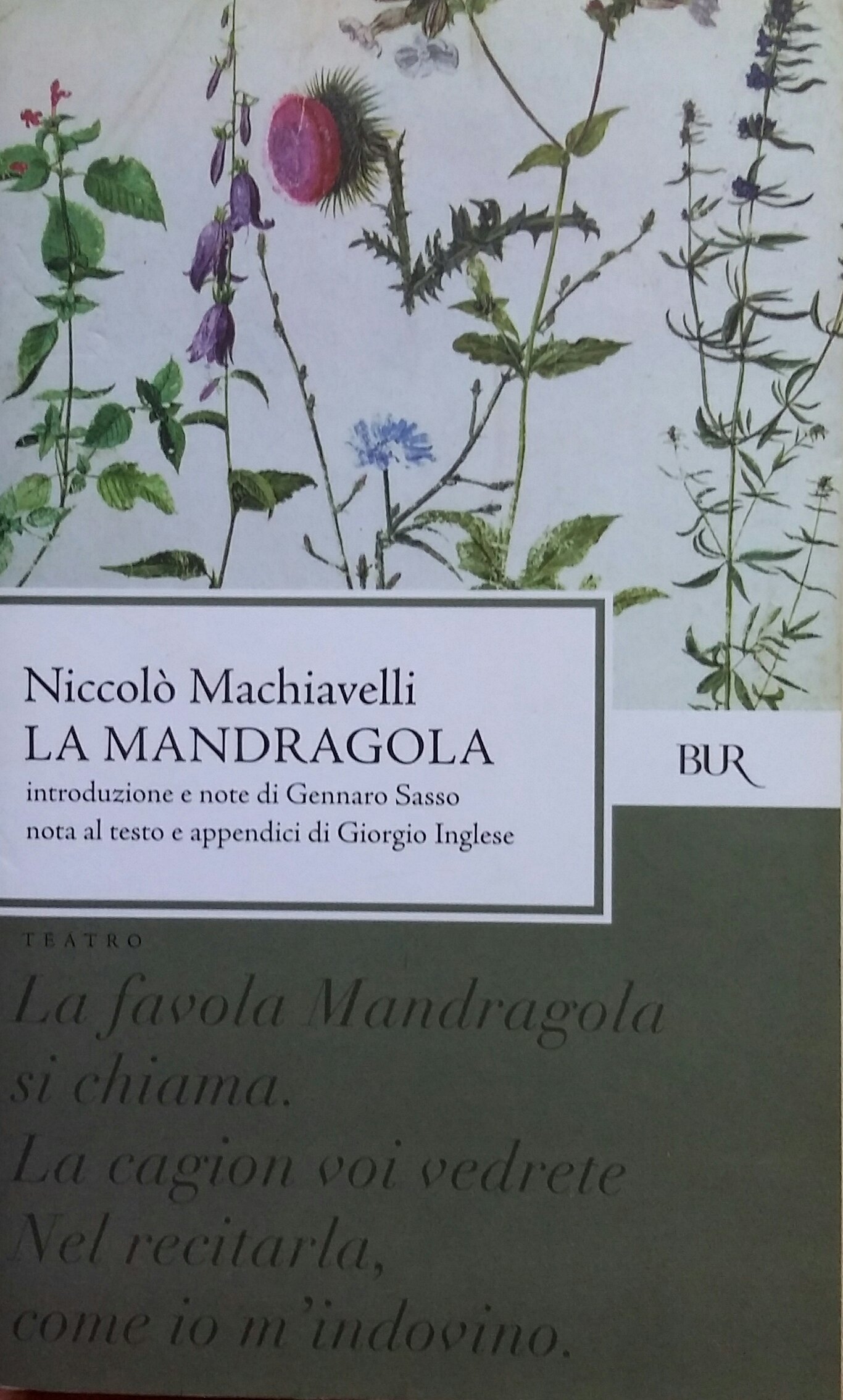 La Mandragola - Classic Italian Fiction, Poetry & Drama Book | Perfect for Literature Lovers, Book Clubs & Drama Enthusiasts