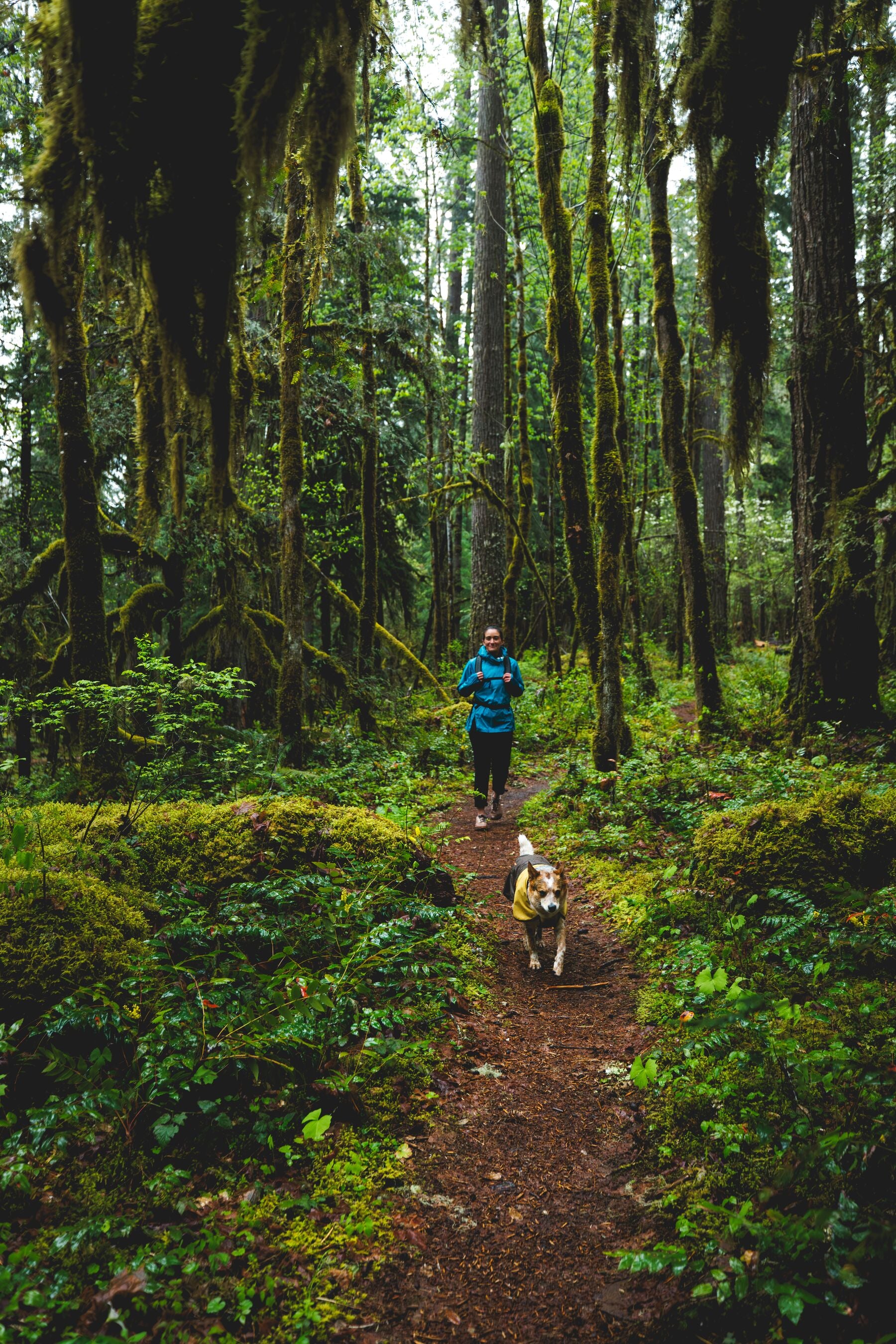 Waterproof & Windproof Ruffwear® Sun Shower™ Dog Raincoat - Earth Brown | All-Weather Protection for Hiking, Camping & Outdoor Adventures